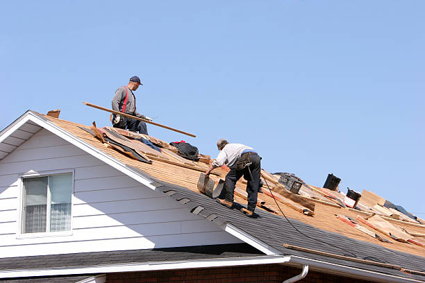 Best Solar Panel Roofing Installation  in Wilkesboro, NC